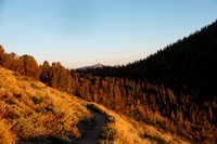 LS_T26-0163