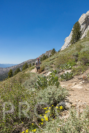 LS_T26-0877