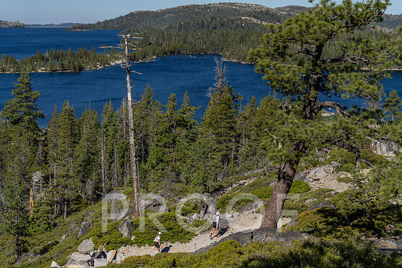 CG_T26-08542