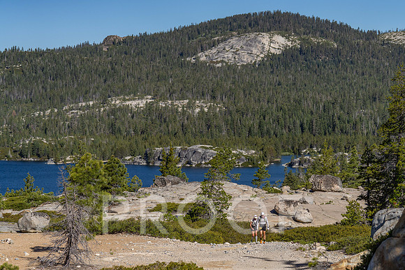 CG_T26-08544