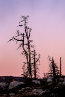CG_T26-08532