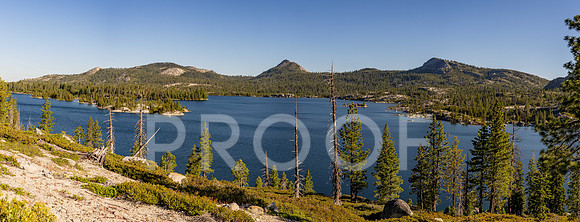 CG_T26-