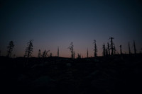 AW_T26-3507