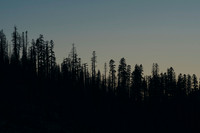 AW_T26-5246