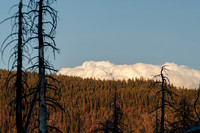 AW_T26-5253
