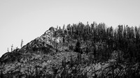 AW_T26-5176