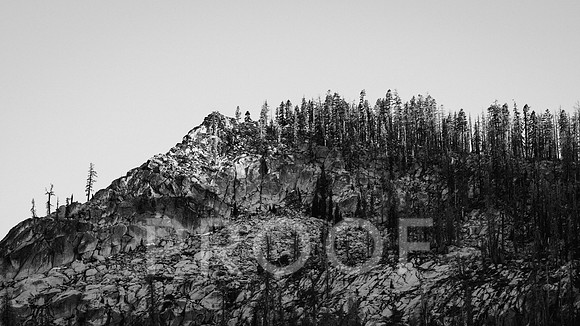 AW_T26-5176
