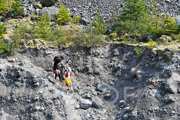 ER_BF_26-0347