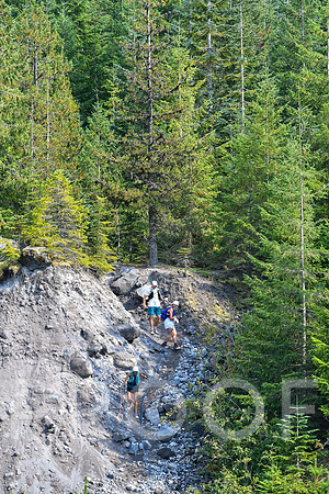 ER_BF_26-0394