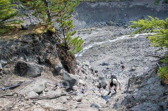 ER_BF_26-0460