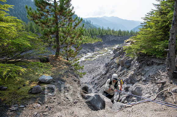ER_BF_26-0461