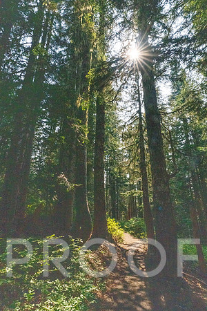 CG_BF-07993