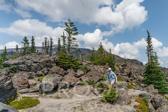 CG_BF-07553