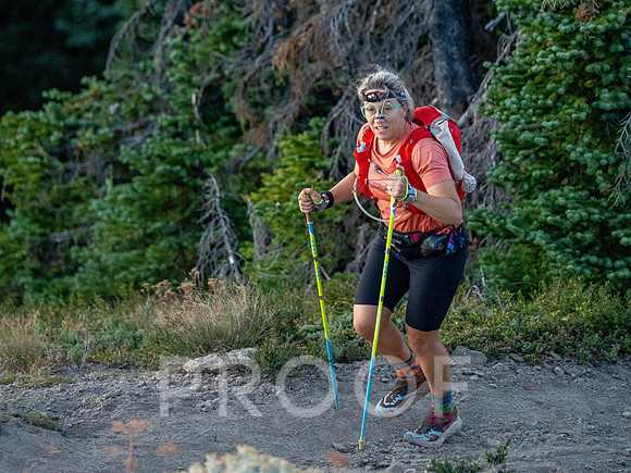 CG_BF-09341