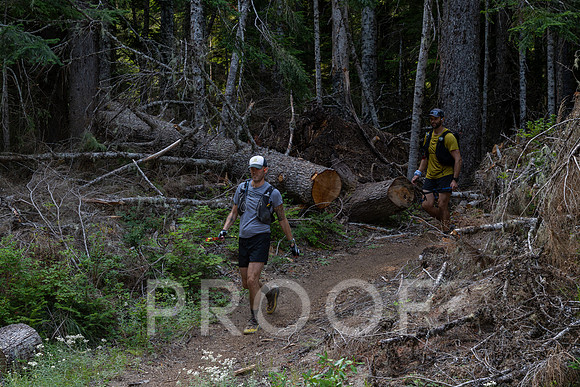 ER_BF_26-2036