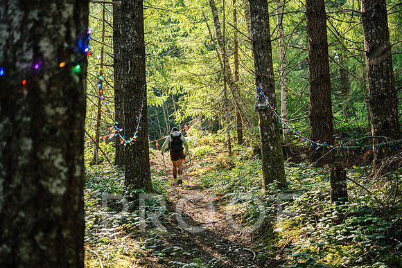 AW_BF26-6716