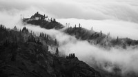 AW_BF26-2317