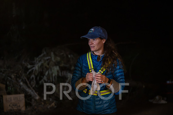 ER_BF_26-2463