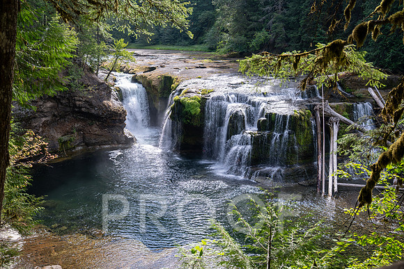 ER_BF_26-2558