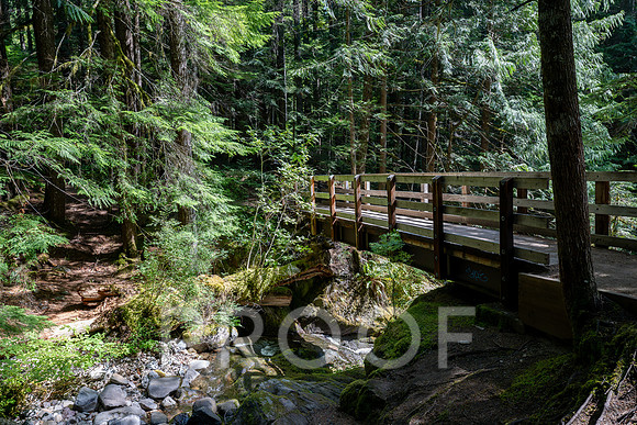 ER_BF_26-2562