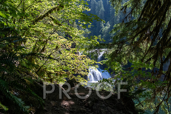 ER_BF_26-2568