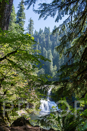 ER_BF_26-2591