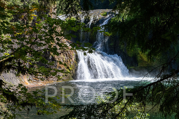 ER_BF_26-2614