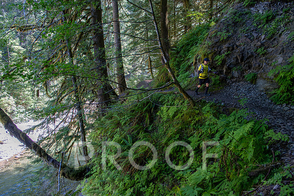 ER_BF_26-2631