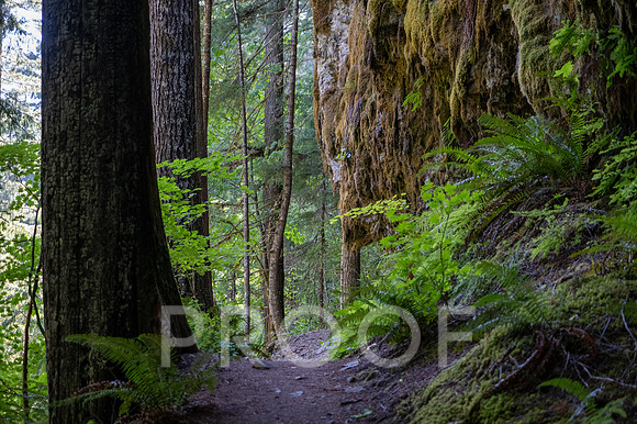 ER_BF_26-2636
