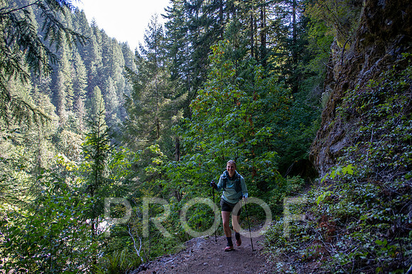 ER_BF_26-2641