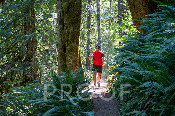 ER_BF_26-2650