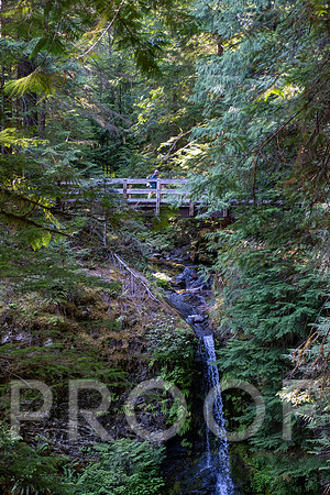 ER_BF_26-2658