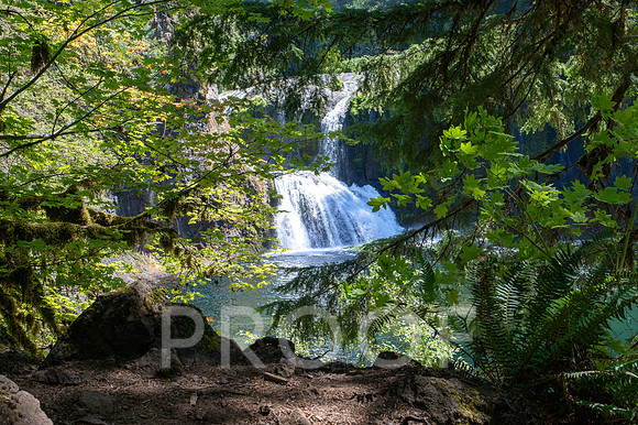 ER_BF_26-2588