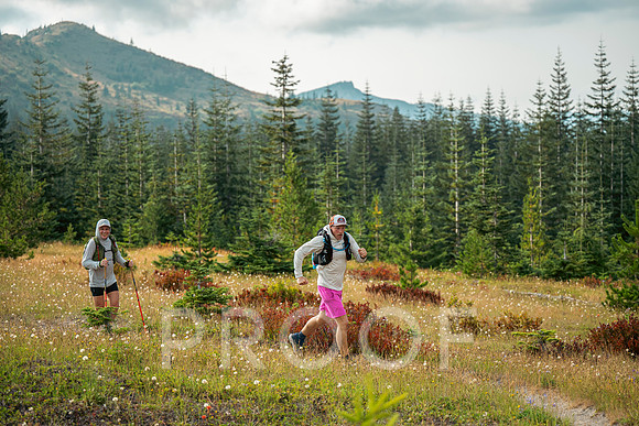 JS_BF26-0274