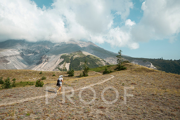 JS_BF26-0643
