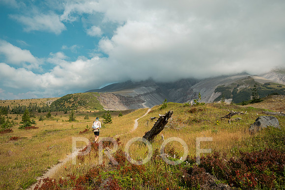 JS_BF26-0874