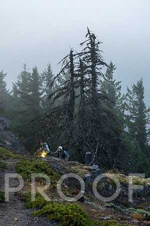 ER_BF_26-3356