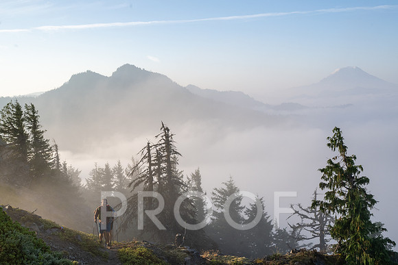 ER_BF_26-3383