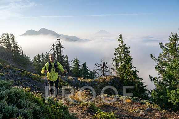 ER_BF_26-3394