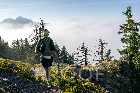 ER_BF_26-3446