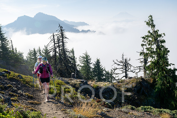ER_BF_26-3458