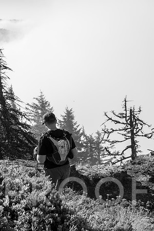 ER_BF_26-3475