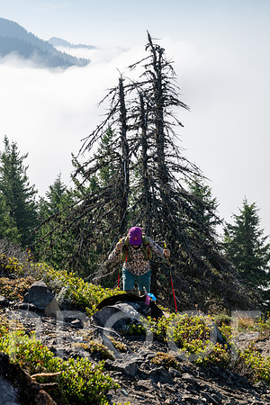 ER_BF_26-3476