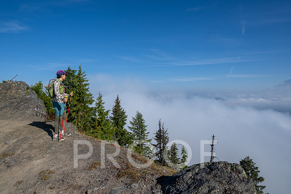 ER_BF_26-3479