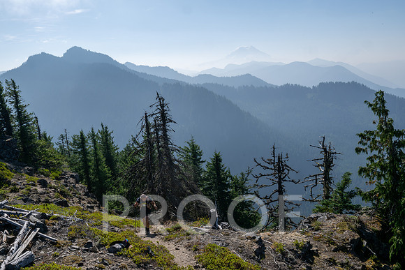 ER_BF_26-3534