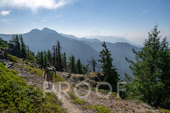ER_BF_26-3542