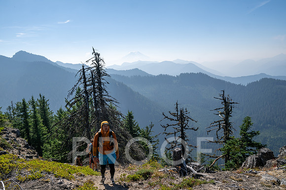 ER_BF_26-3547