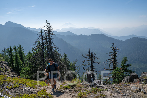 ER_BF_26-3549