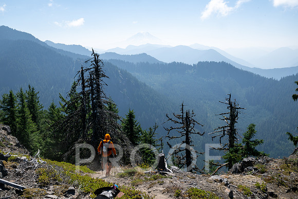 ER_BF_26-3625
