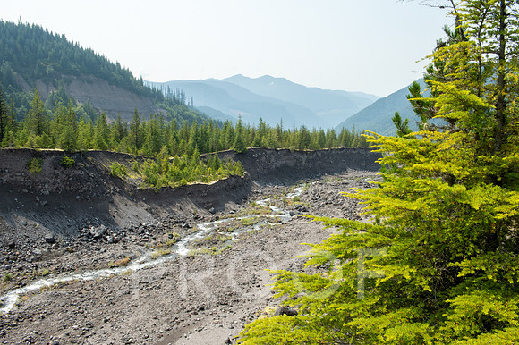 ER_BF_26-3766